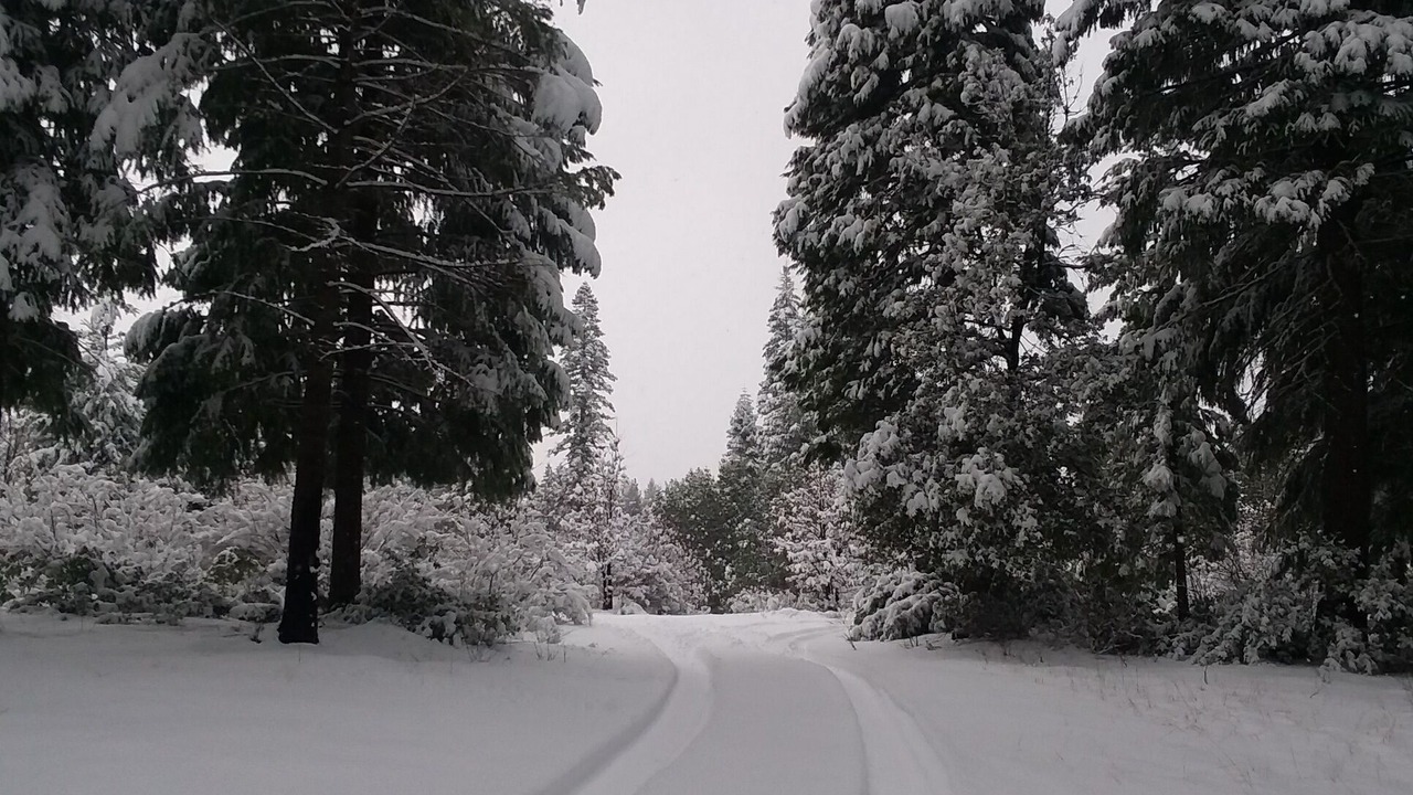 Photo of Others in Nevada City