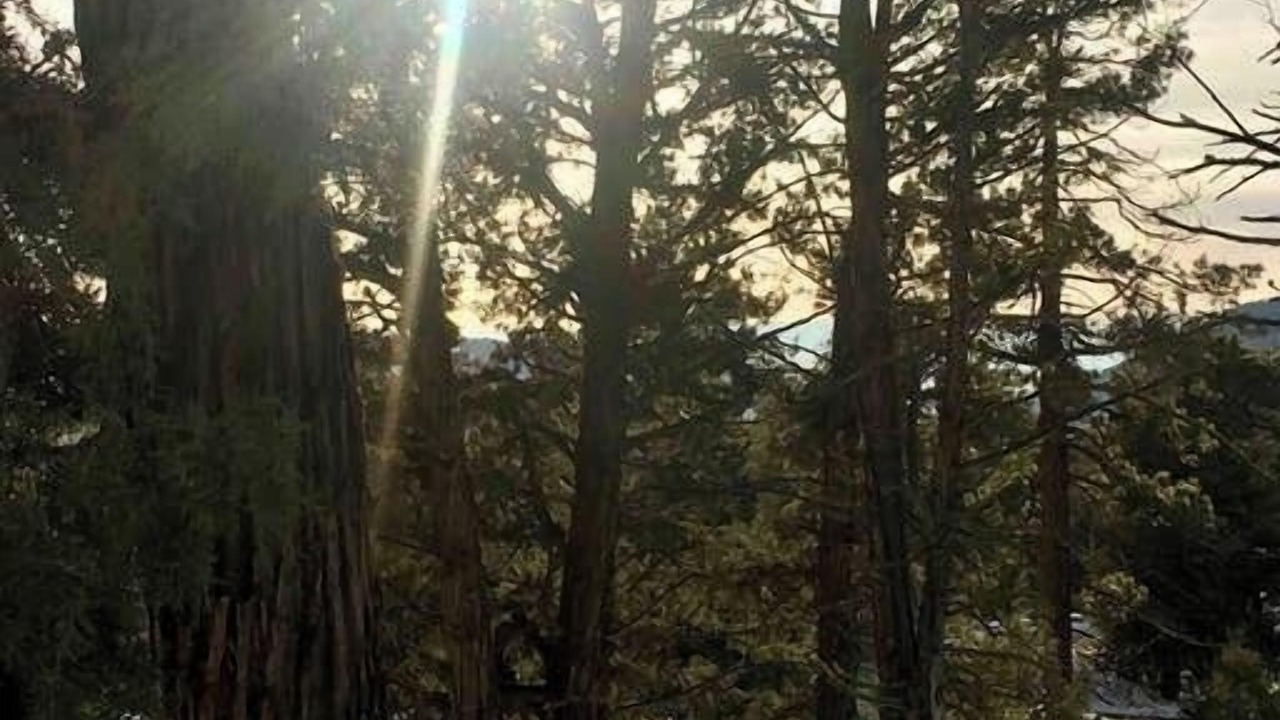 Photo of Others in Big Bear Lake