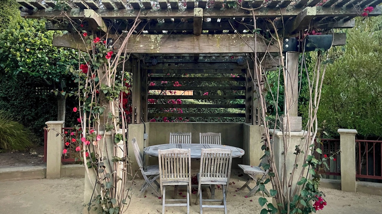 Photo of Outdoor in Upper Rockridge