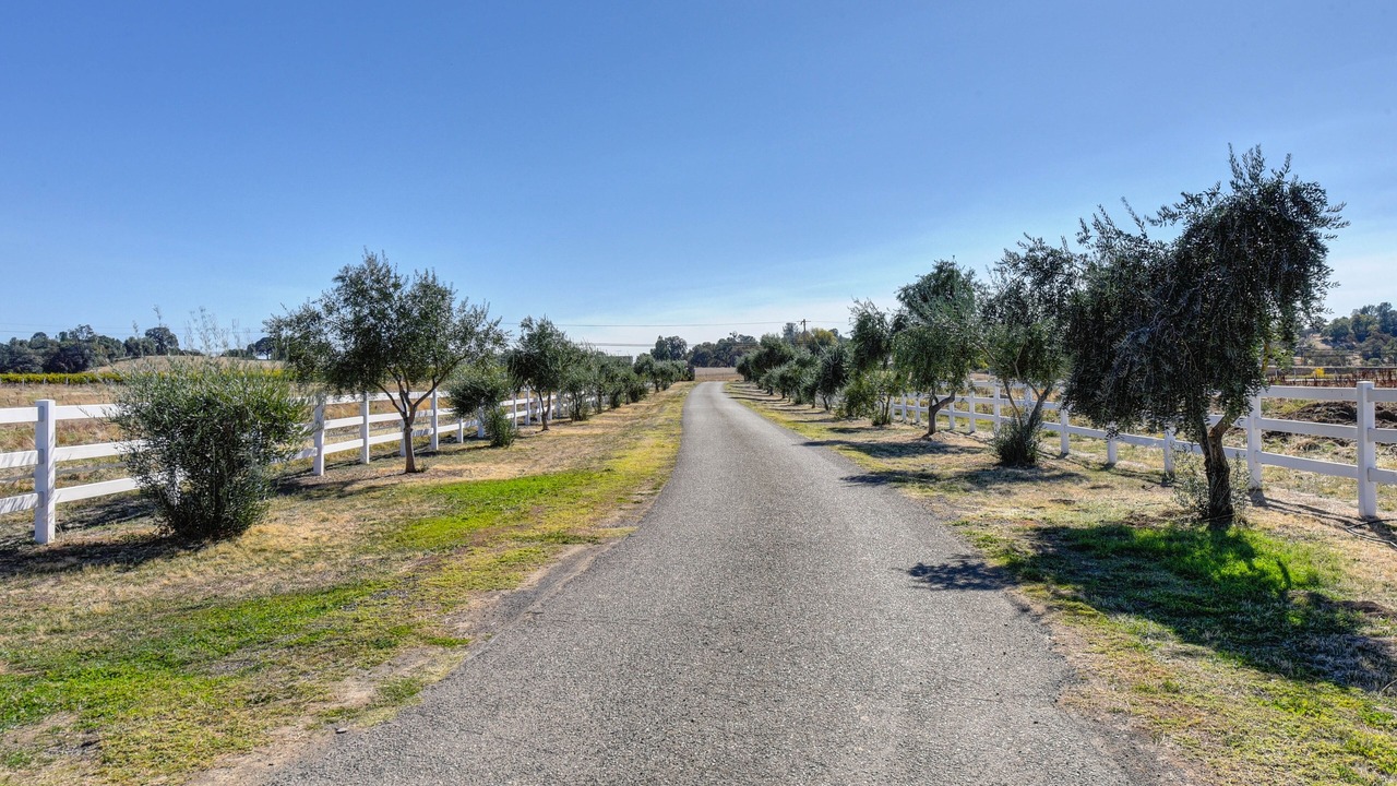 Photo of Outdoor in Placerville