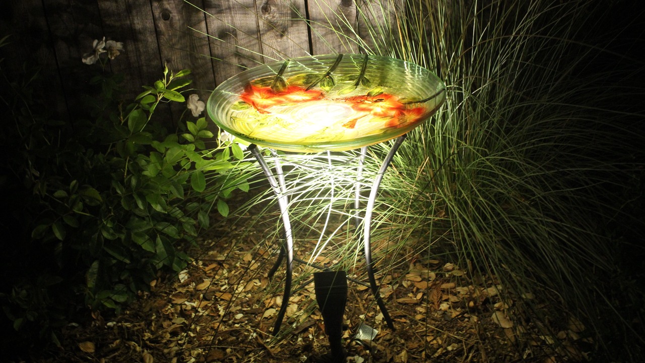 Photo of Outdoor in Windsor