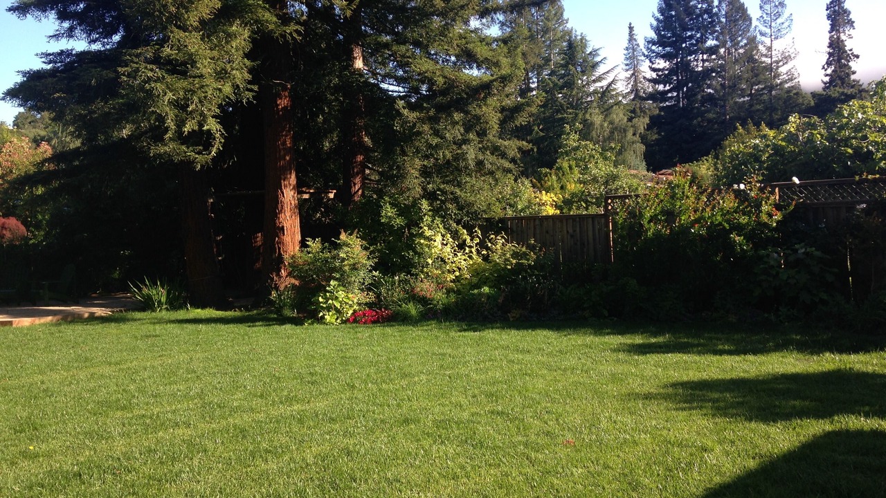 Photo of Outdoor in Portola Valley
