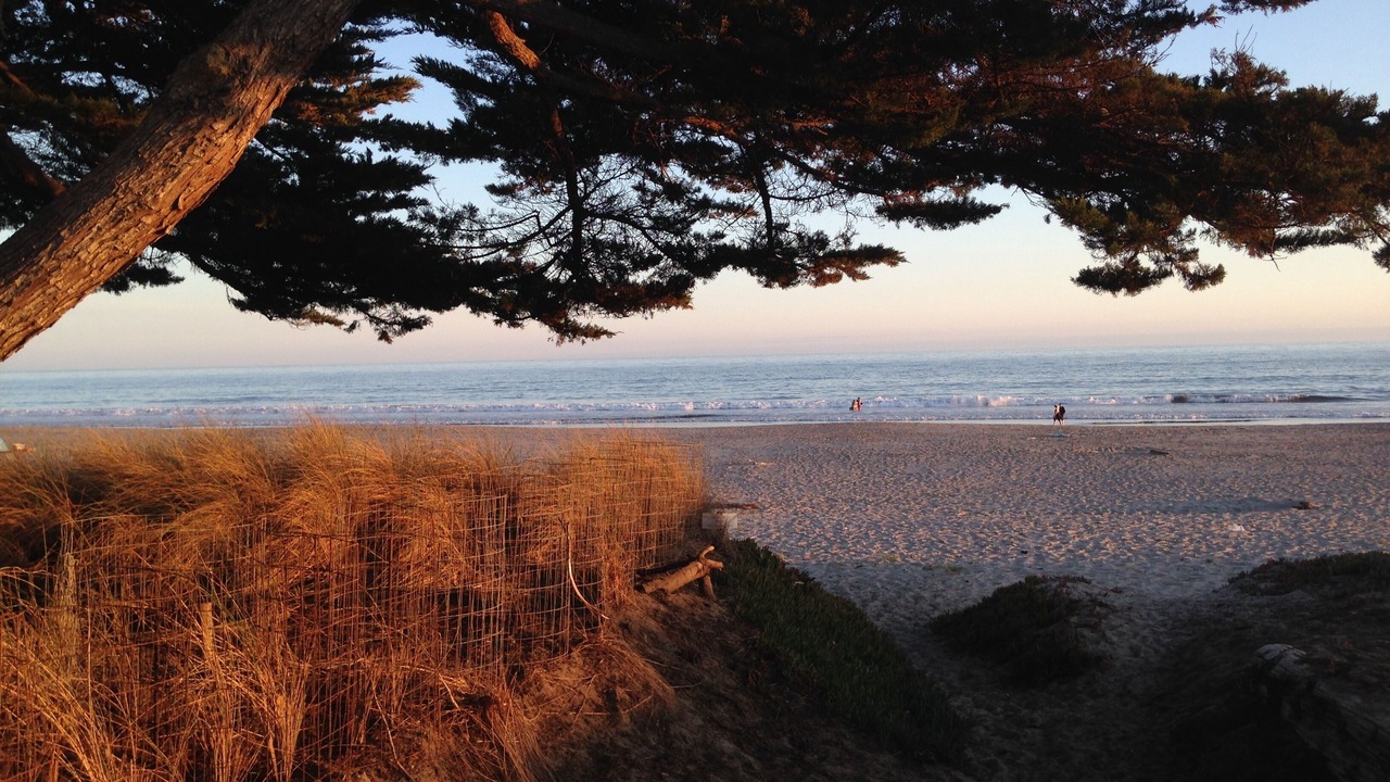 Photo of Others in Stinson Beach