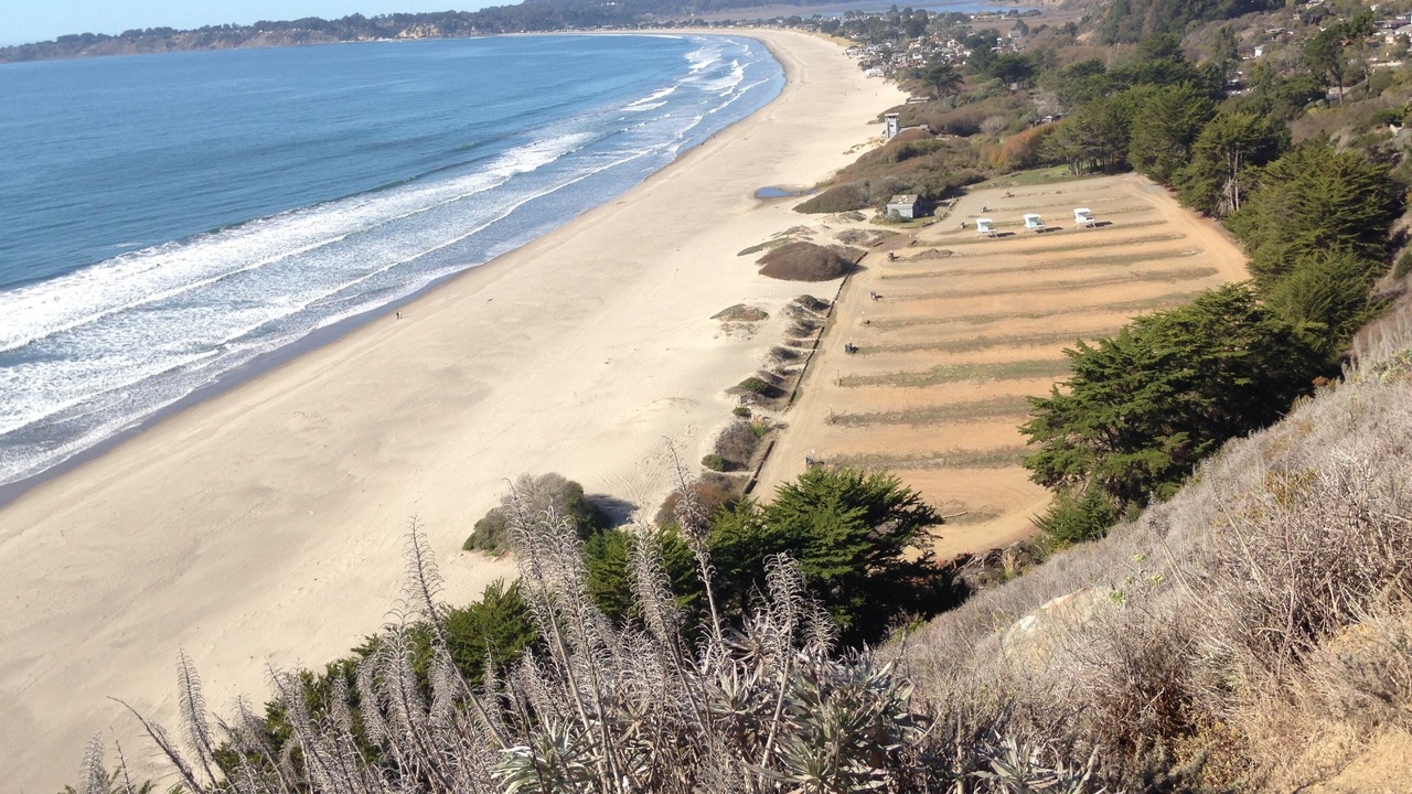 Photo of Others in Stinson Beach