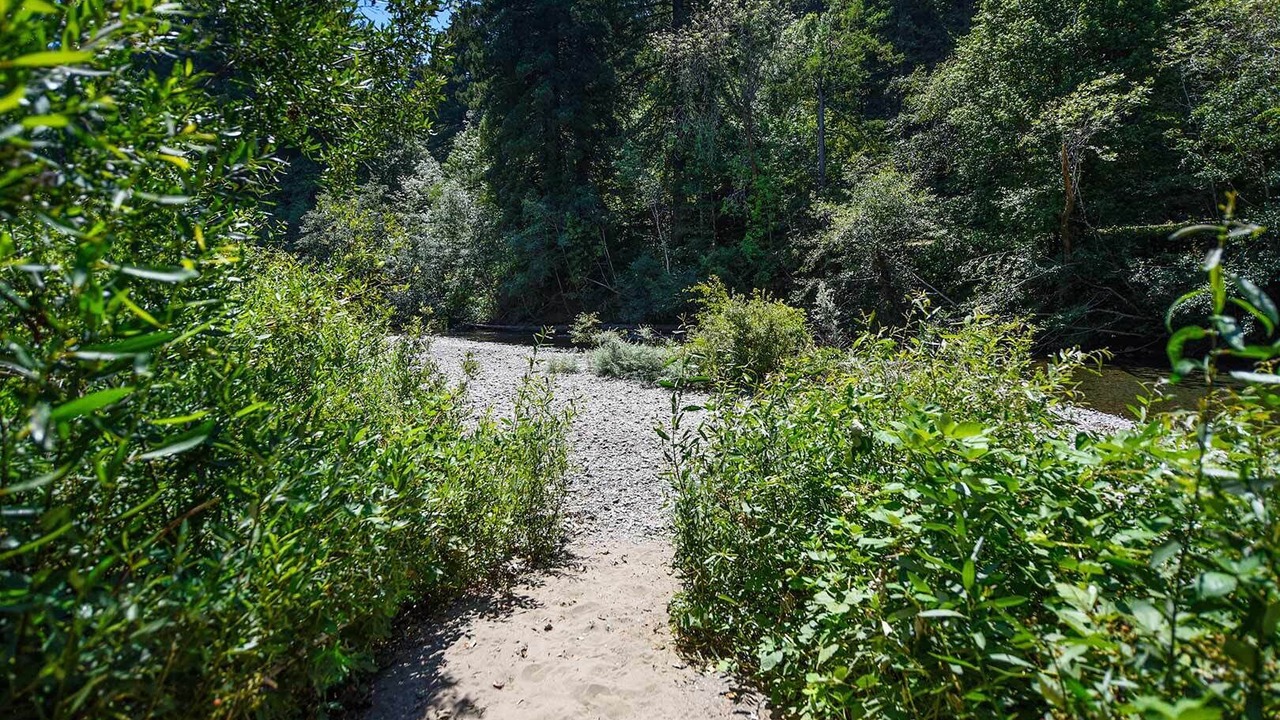 Photo of Others in Cazadero