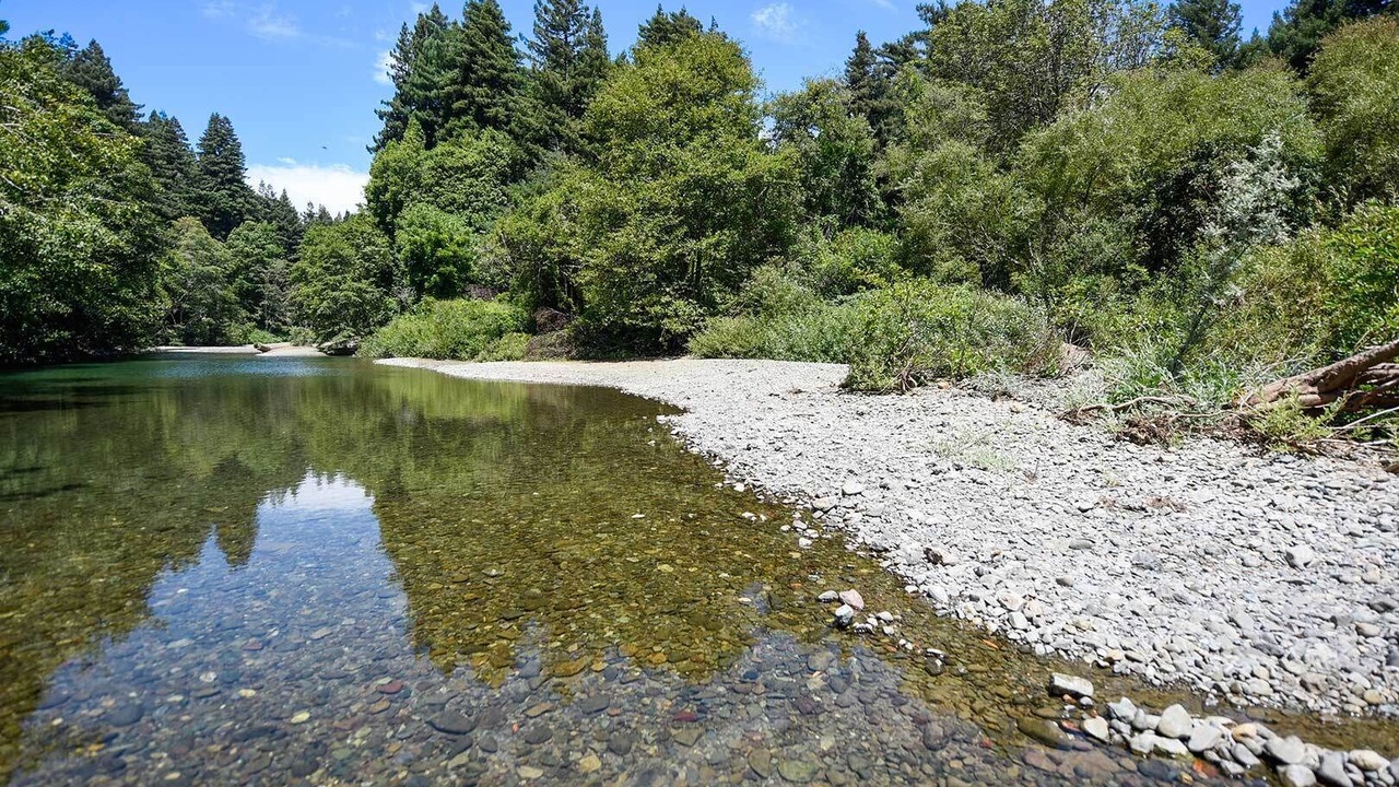 Photo of Others in Cazadero