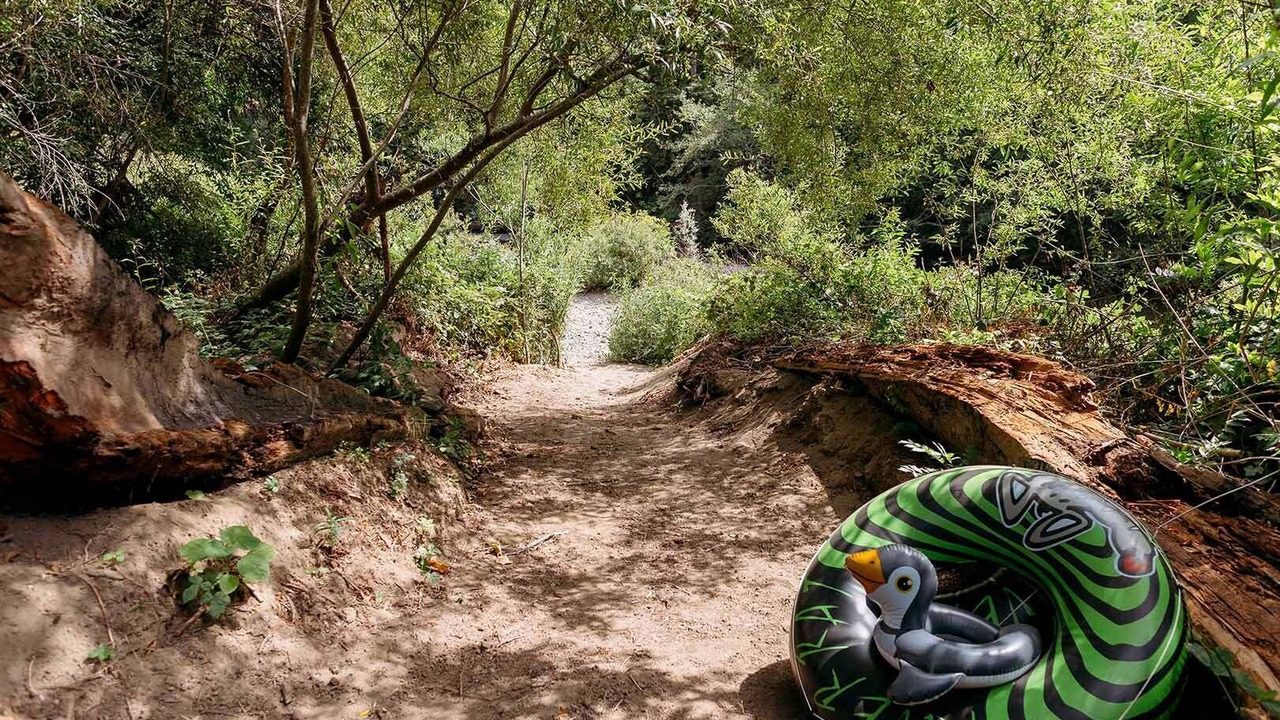 Photo of Others in Cazadero