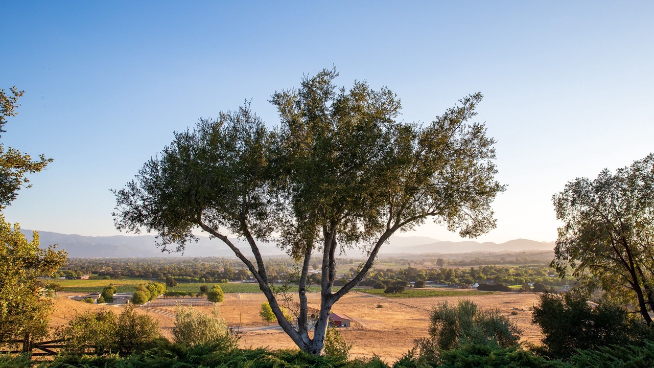 Photo of Others in Santa Ynez