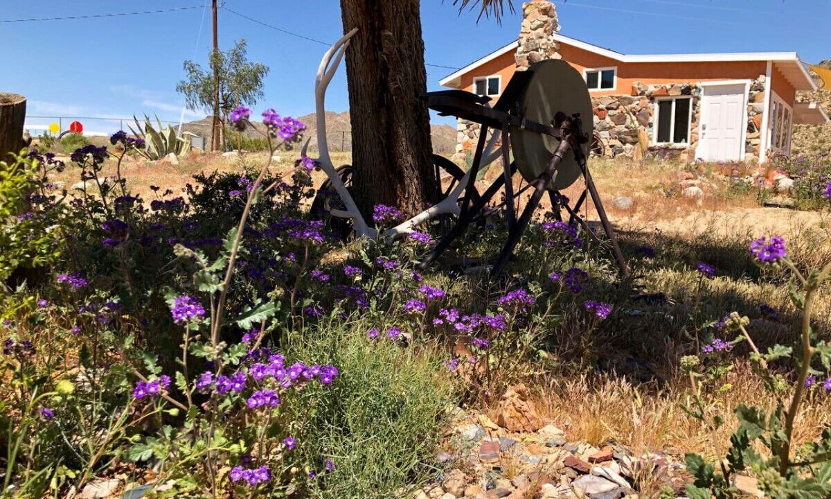 Photo of Outdoor in Joshua Tree