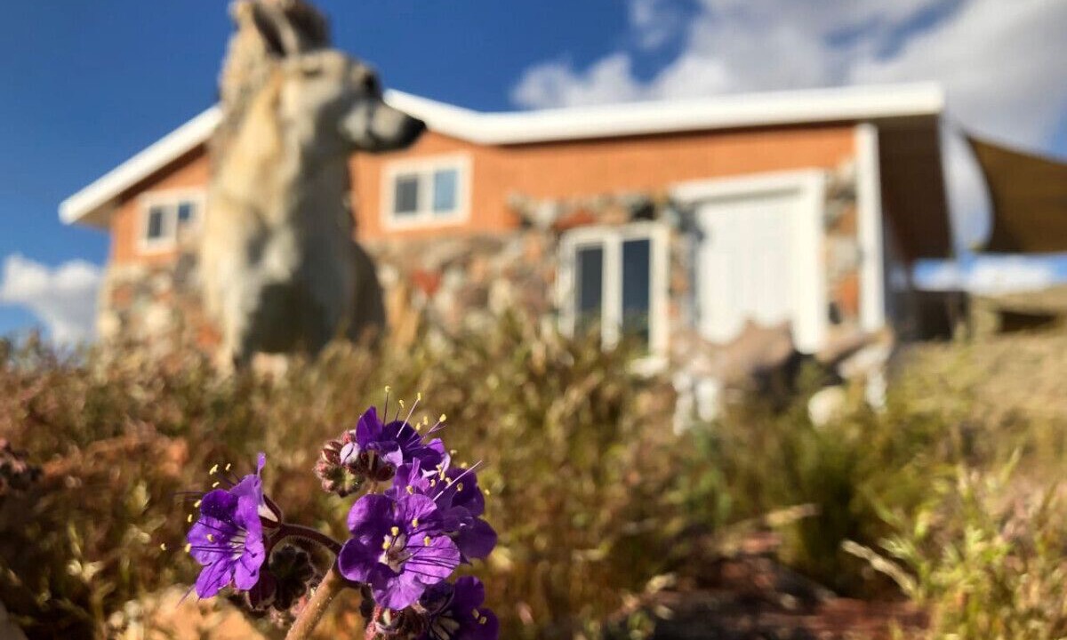 Photo of Outdoor in Joshua Tree