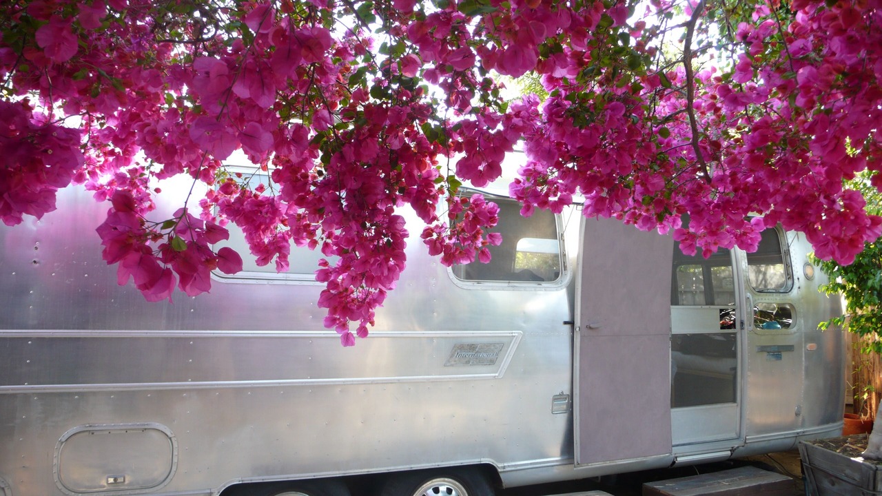Photo of Outdoor in Mar Vista