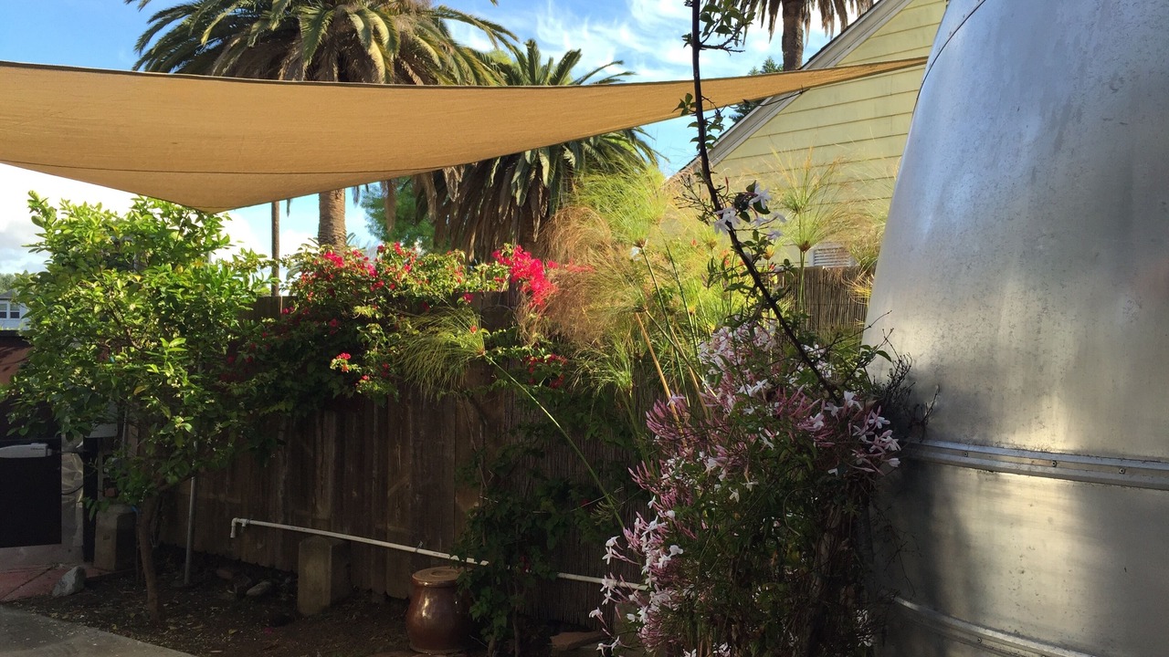 Photo of Outdoor in Mar Vista