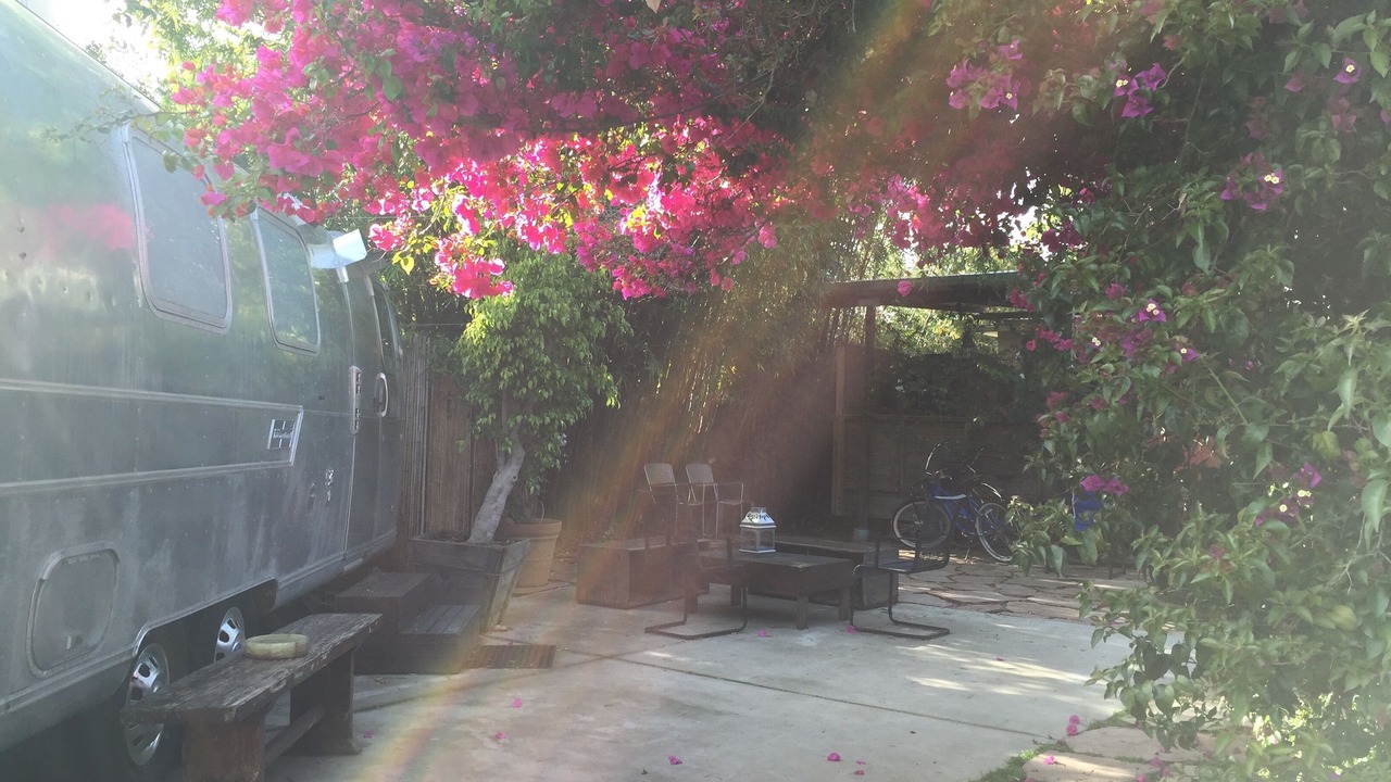 Photo of Outdoor in Mar Vista