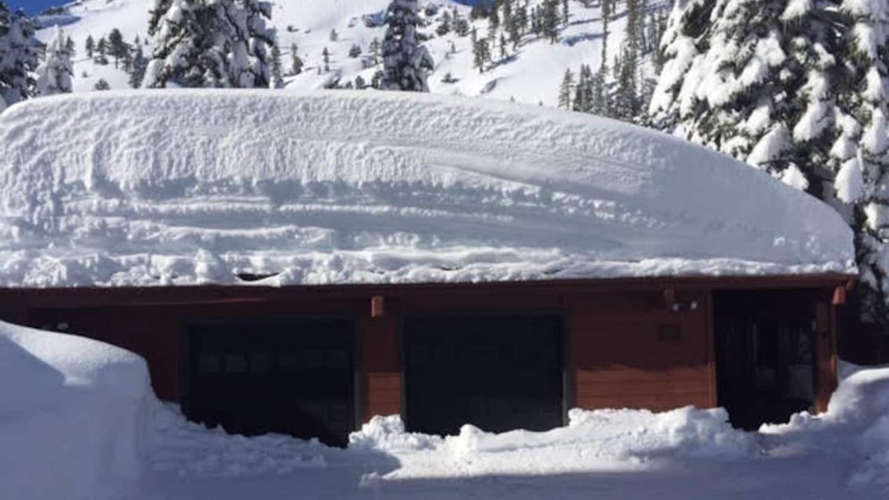 Photo of Others in Alpine Meadows
