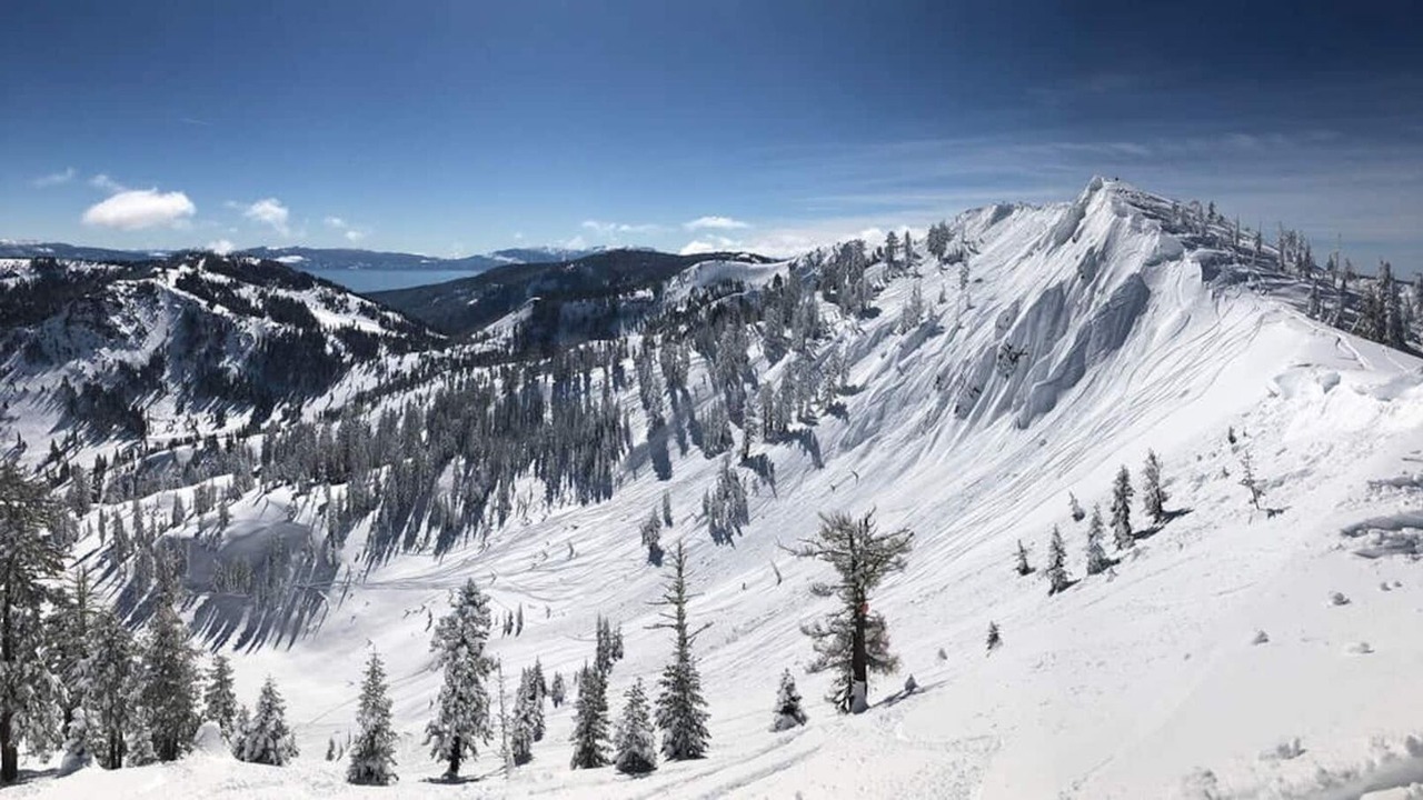 Photo of Others in Alpine Meadows