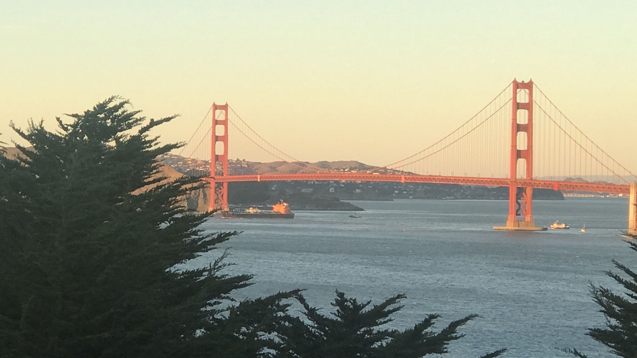 Photo of Others in Sea Cliff