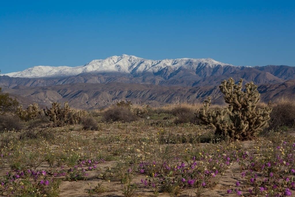 Photo of Outdoor in Borrego Springs