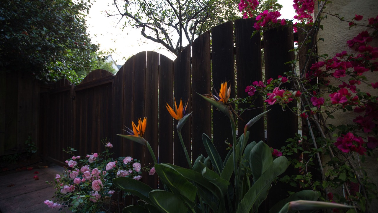 Photo of Outdoor in Berkeley