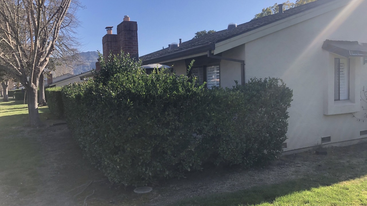 Photo of Outdoor in Yountville
