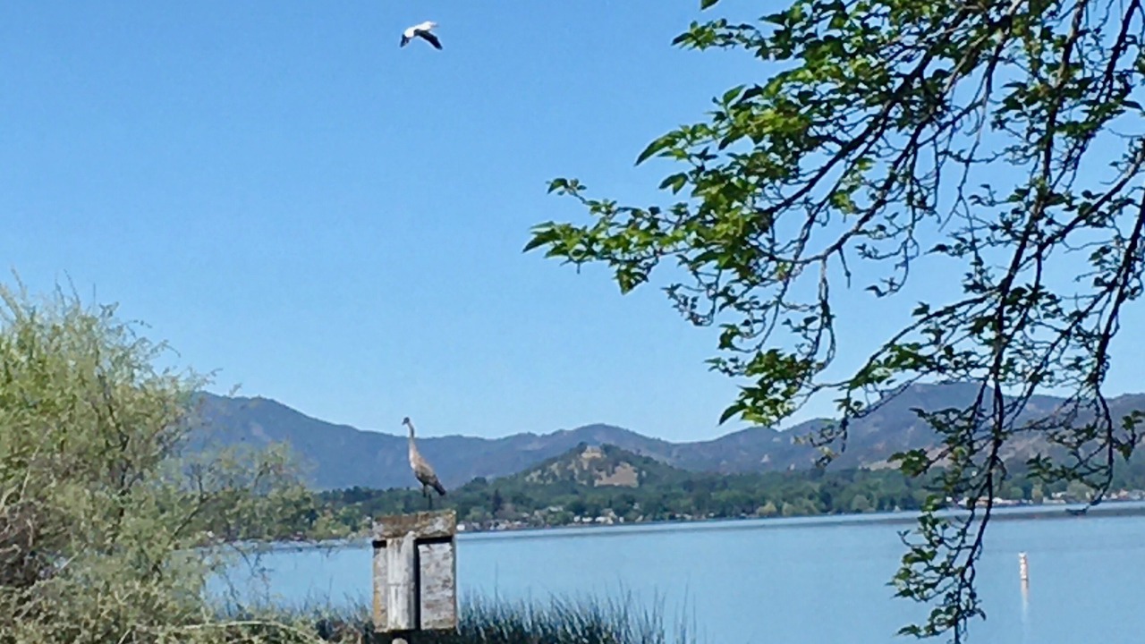 Photo of Outdoor in Lakeport