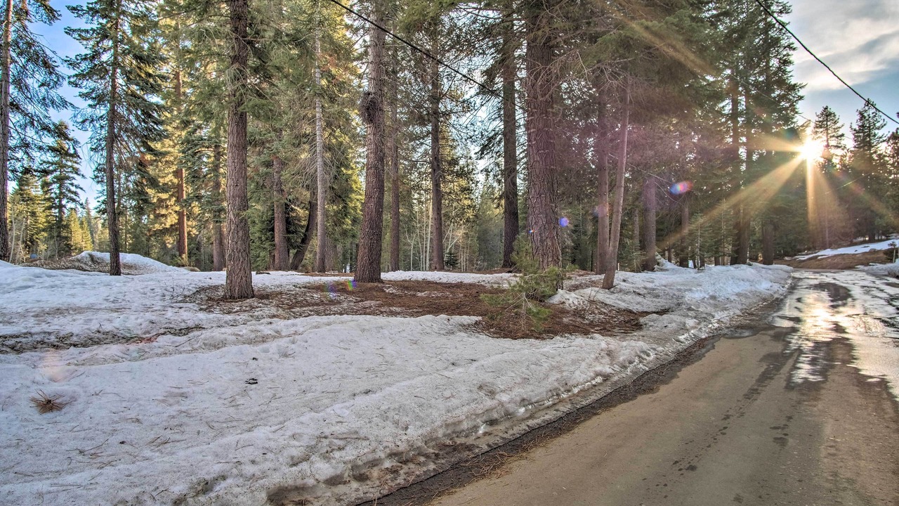 Photo of Others in Ponderosa
