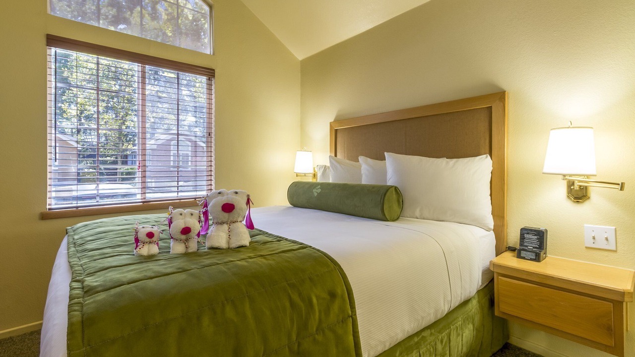 Photo of Bedroom in Napa