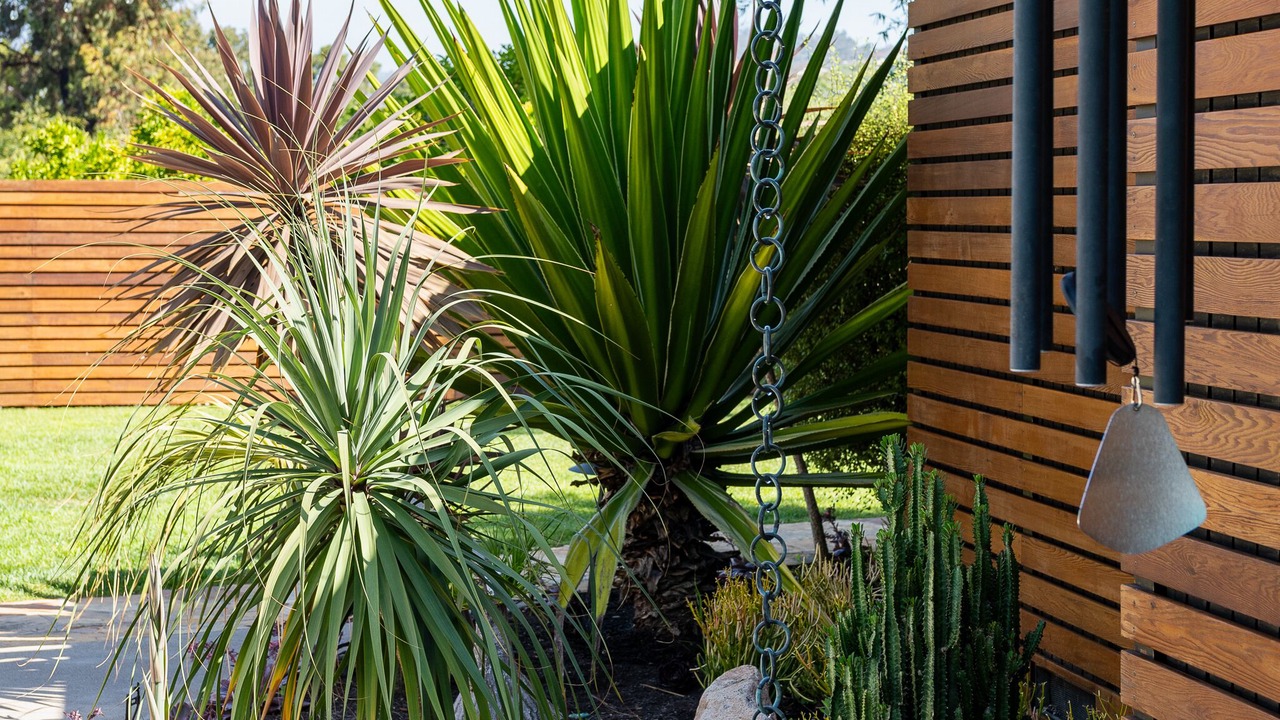 Photo of Outdoor in La Jolla Shores