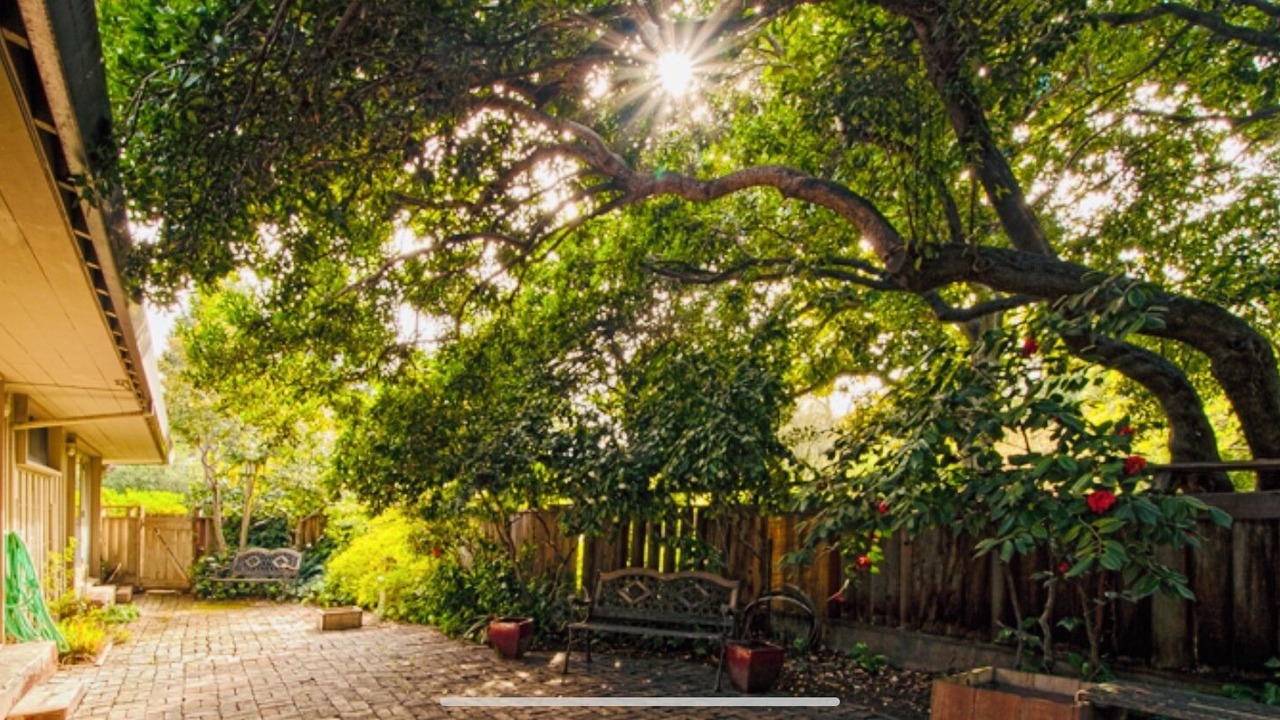 Photo of Patio Balcony in Chico