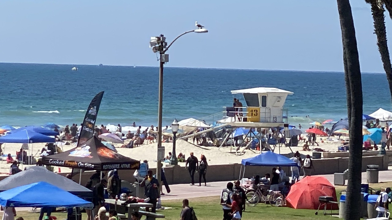 Photo of Others in South Mission Beach