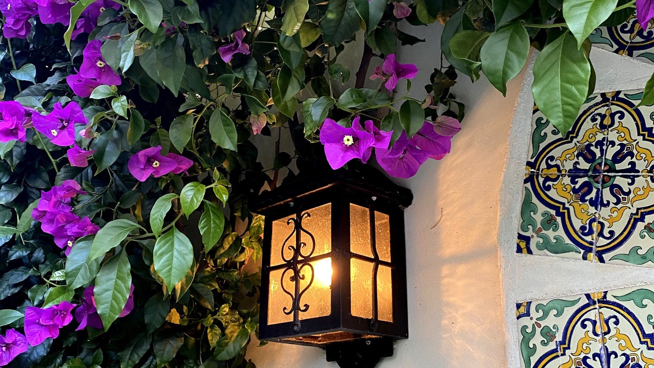 Photo of Outdoor in Greenbrae