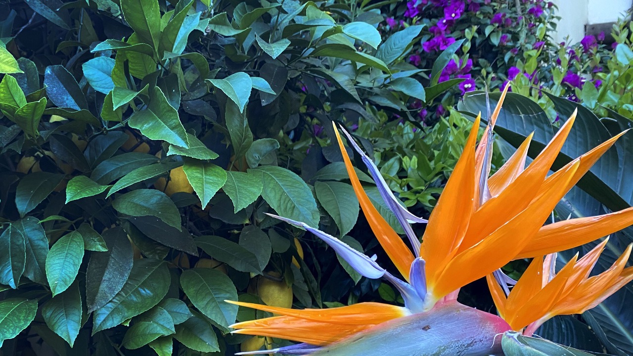Photo of Outdoor in Greenbrae