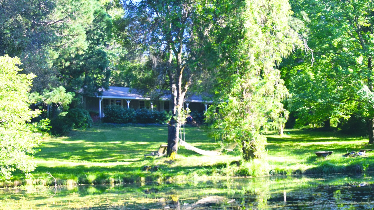 Photo of Outdoor in Grass Valley
