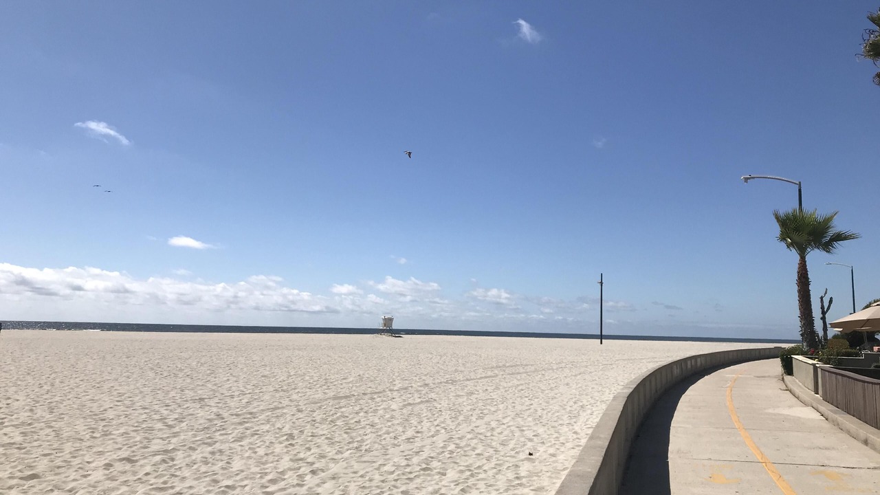 Photo of Others in South Mission Beach