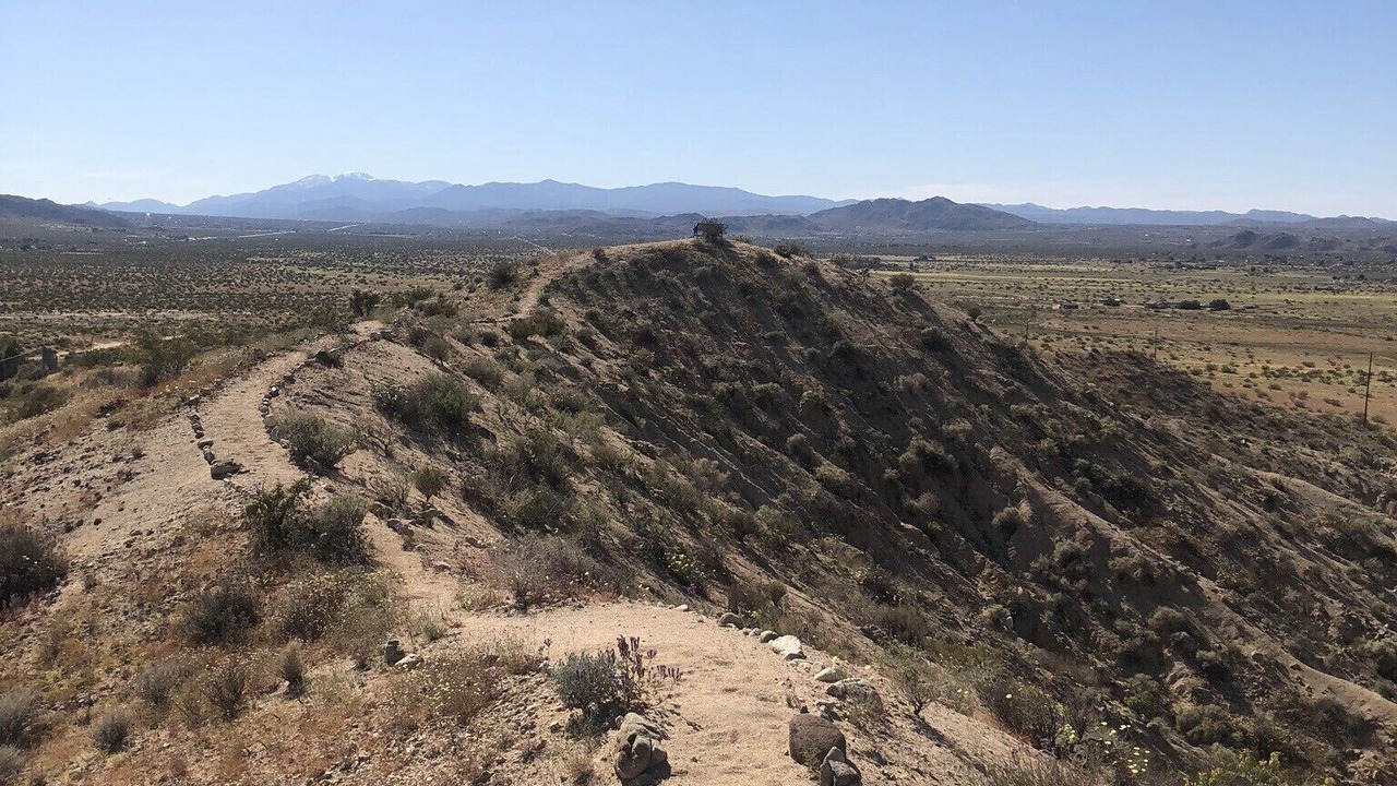 Photo of Others in Joshua Tree