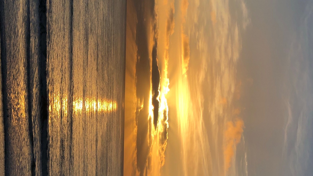 Photo of Others in Coronado