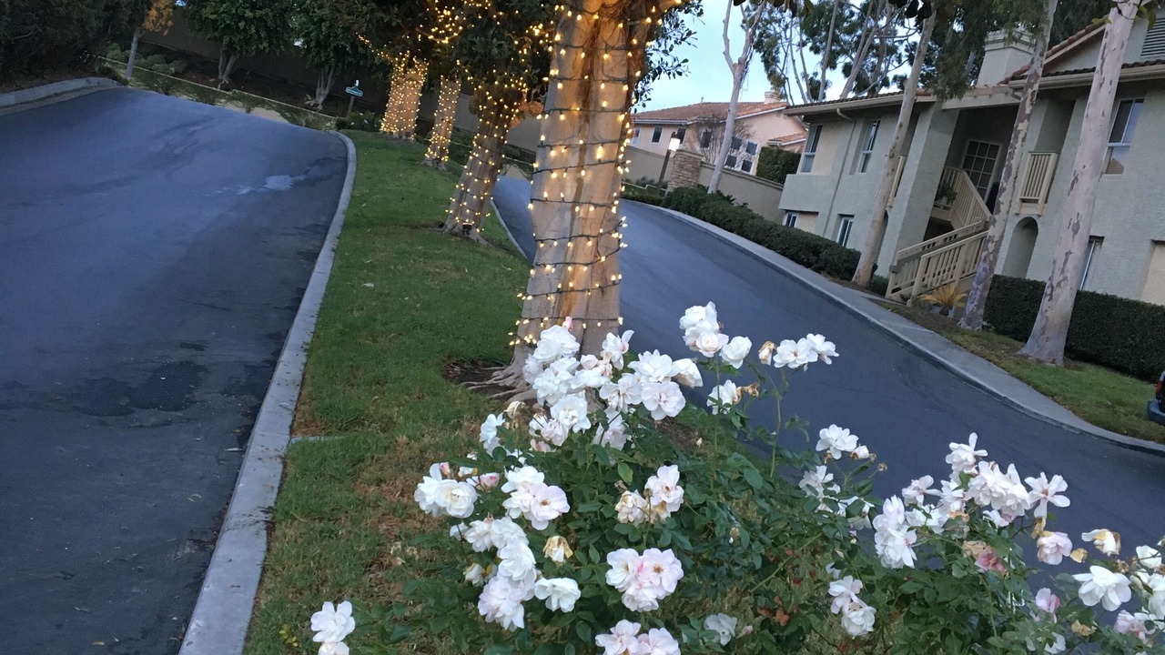 Photo of Outdoor in Monarch Beach