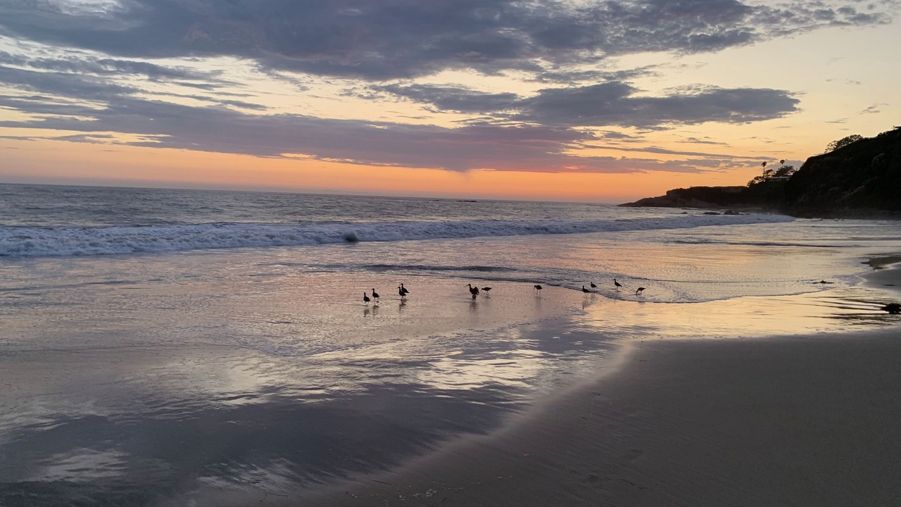 Photo of Others in Monarch Beach