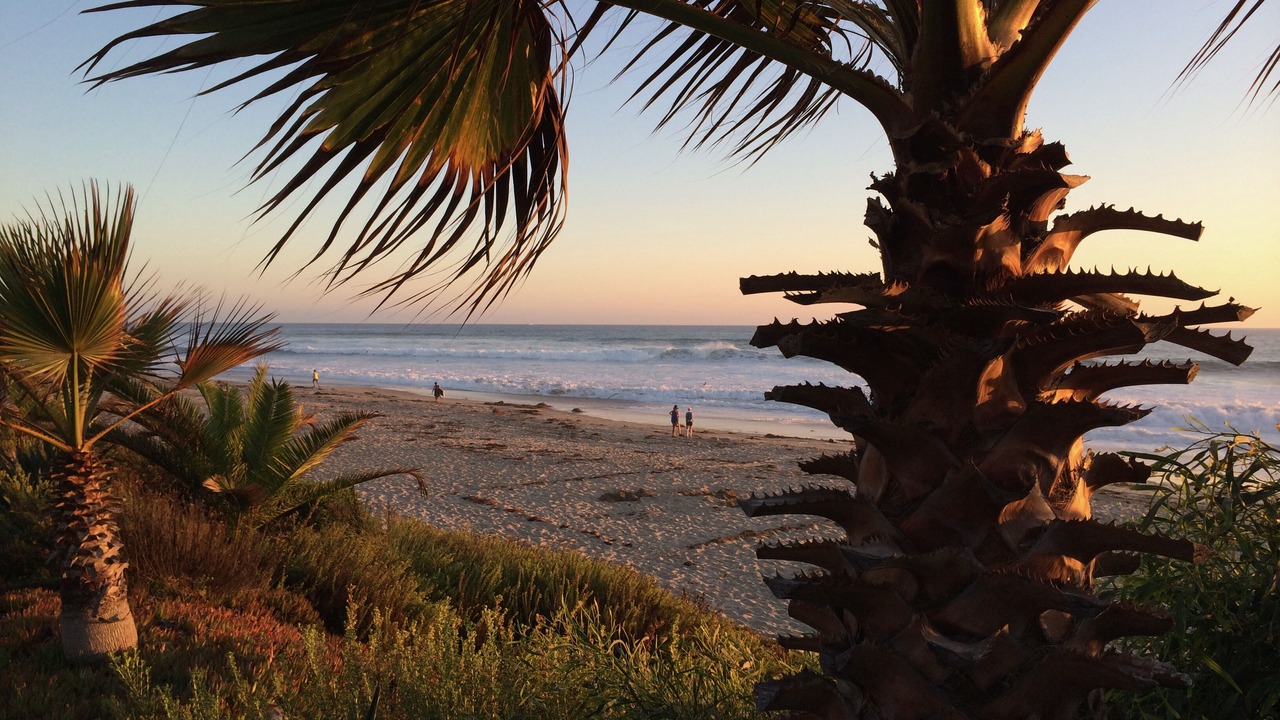 Photo of Others in Monarch Beach