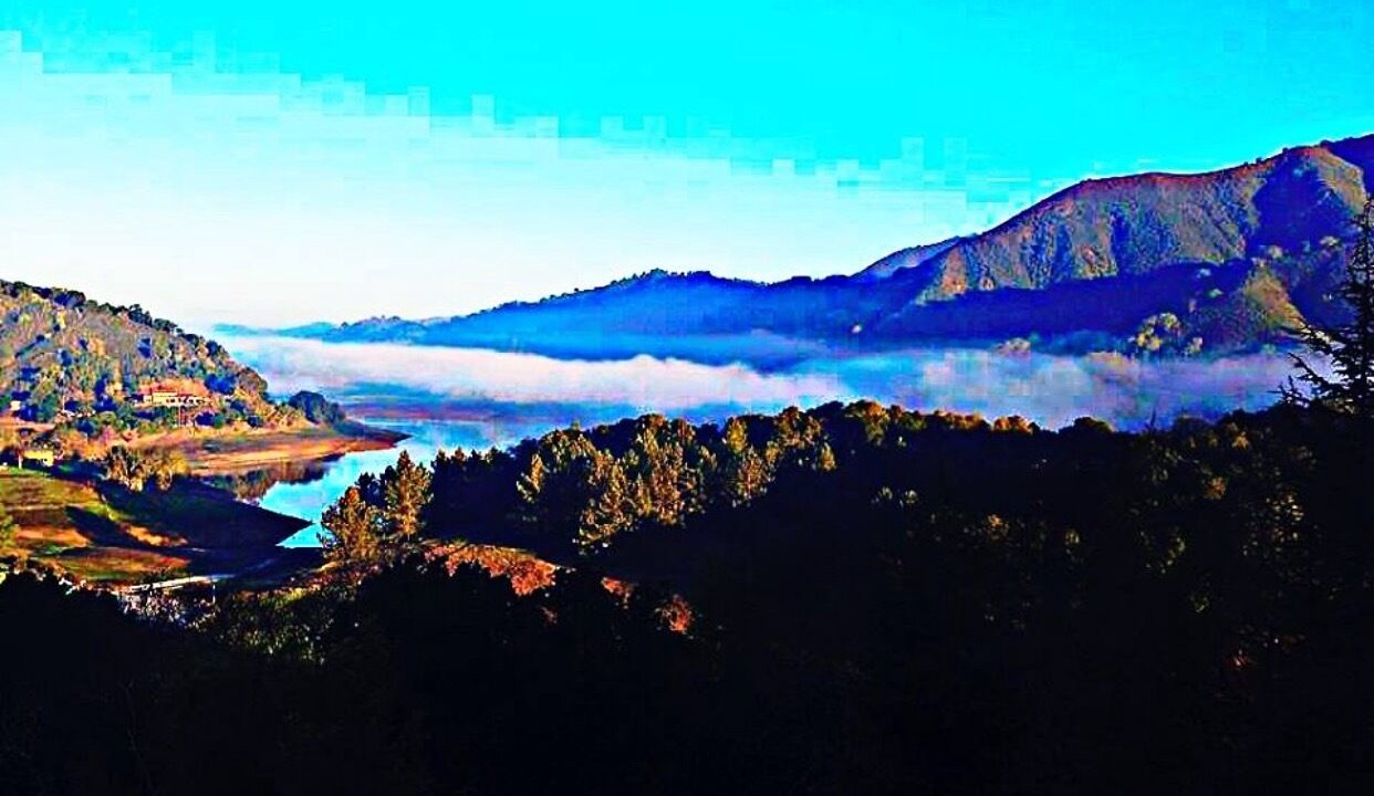 Photo of Outdoor in Gilroy