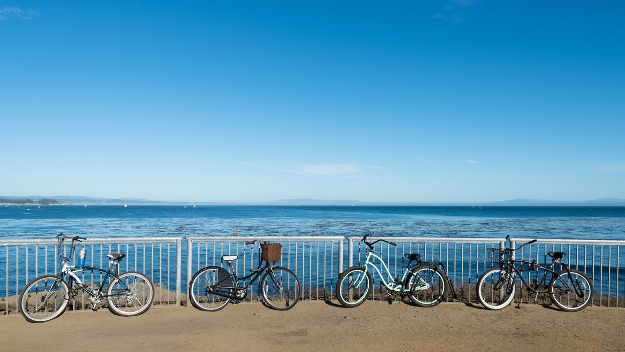 Photo of Others in Eastside Santa Cruz