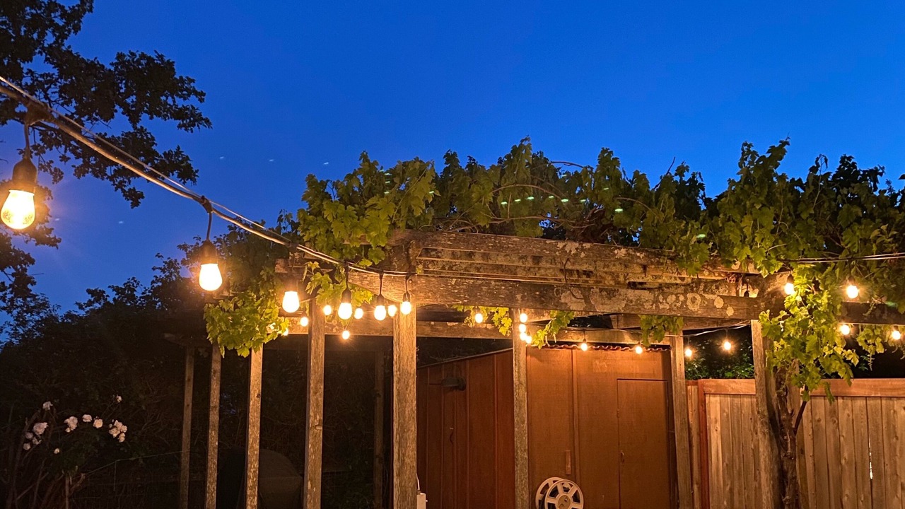 Photo of Others in Sonoma