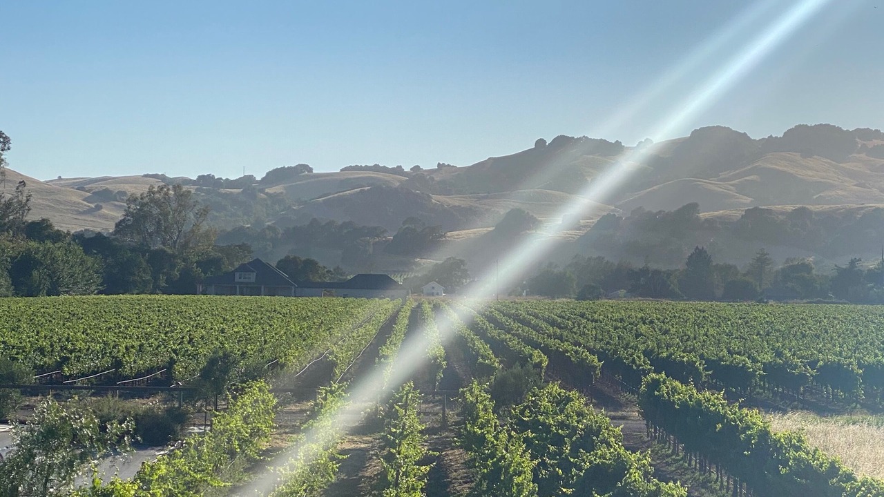 Photo of Others in Sonoma