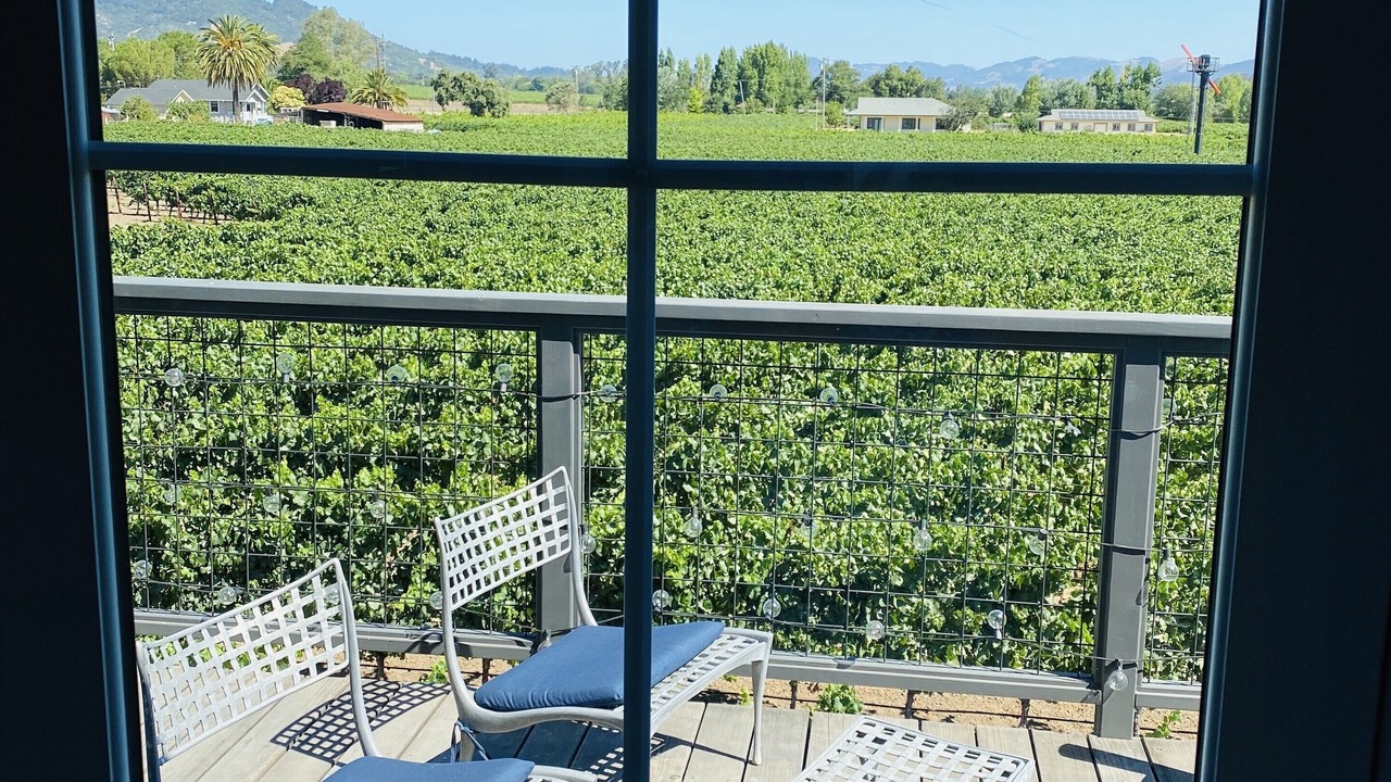 Photo of Others in Sonoma
