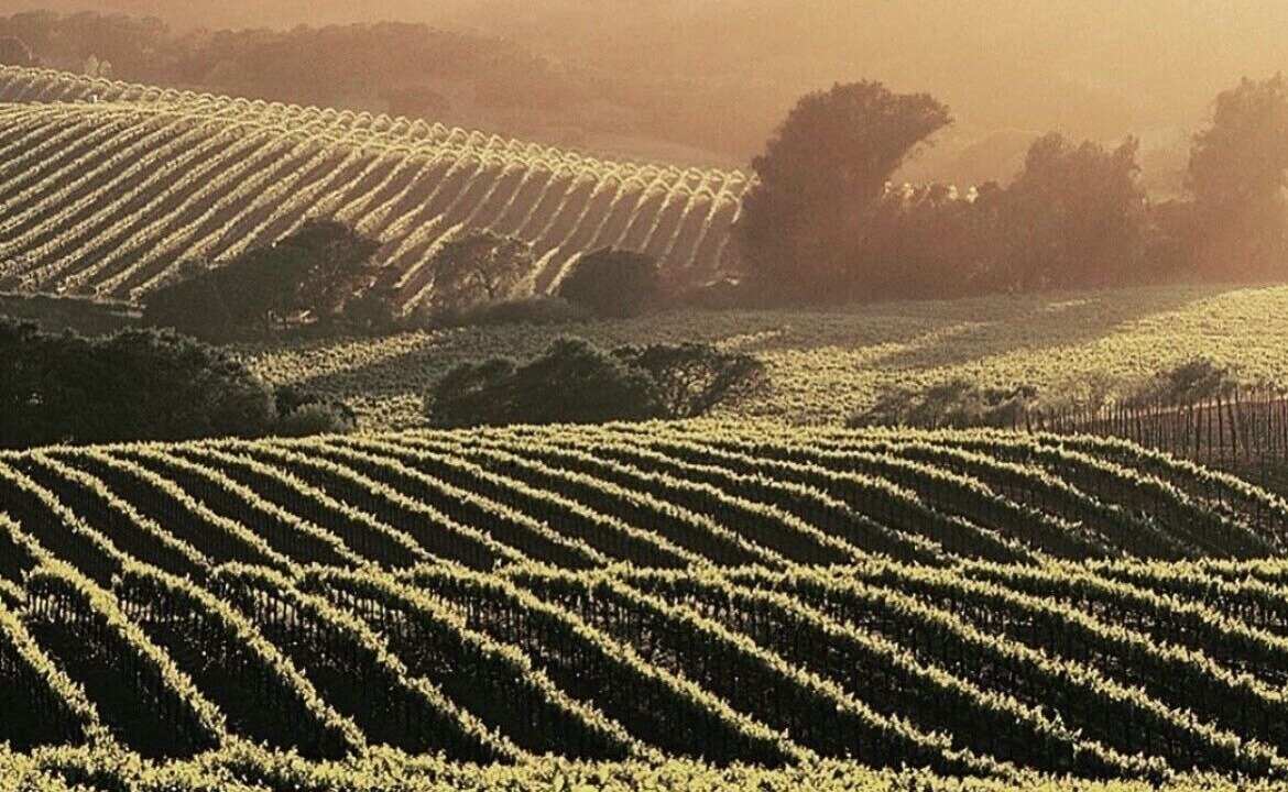 Photo of Outdoor in Glen Ellen
