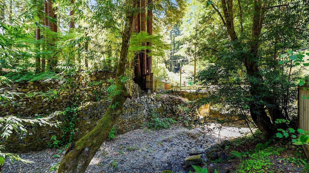 Photo of Others in Cazadero
