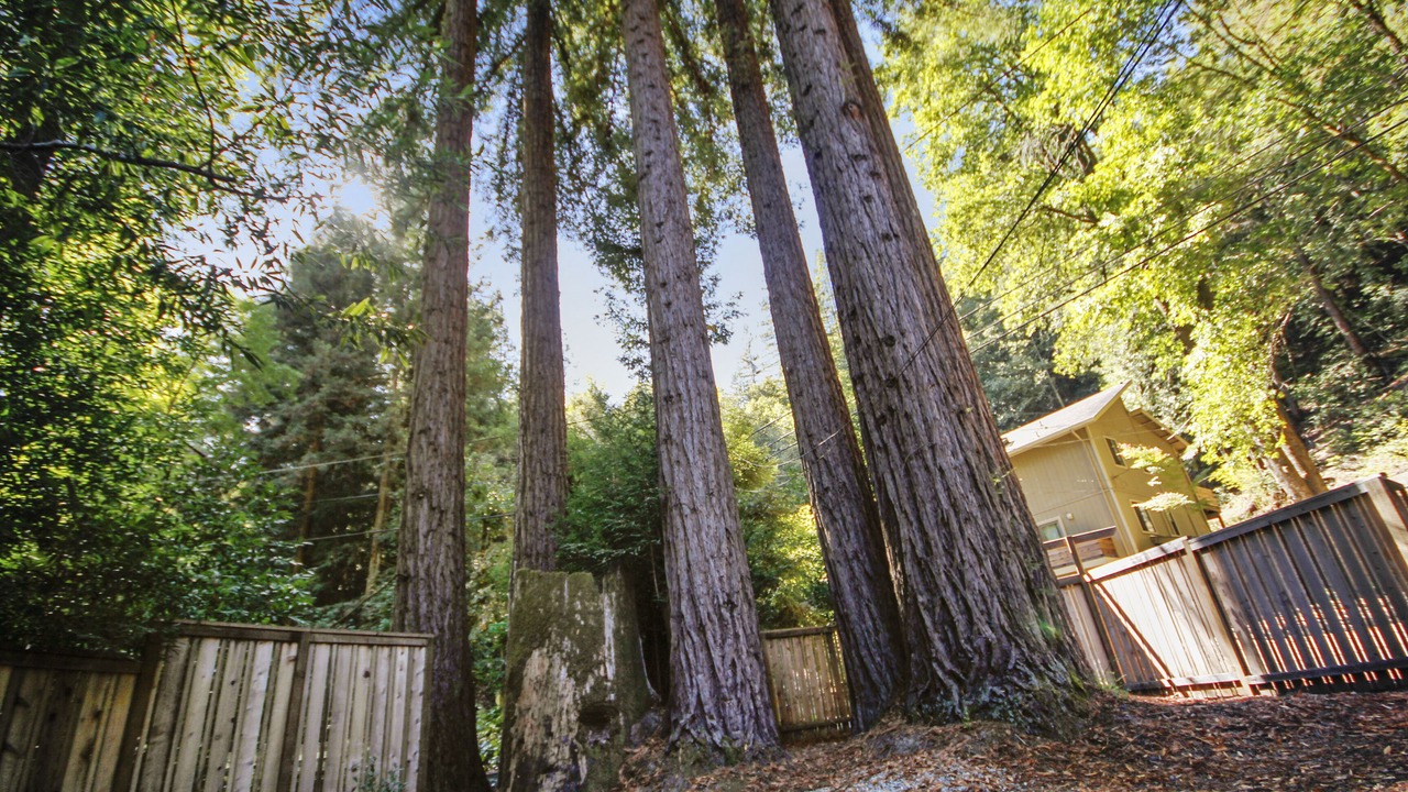 Photo of Others in Cazadero