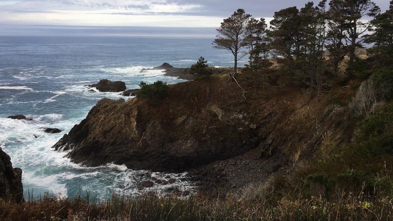 Photo of Others in Sea Ranch