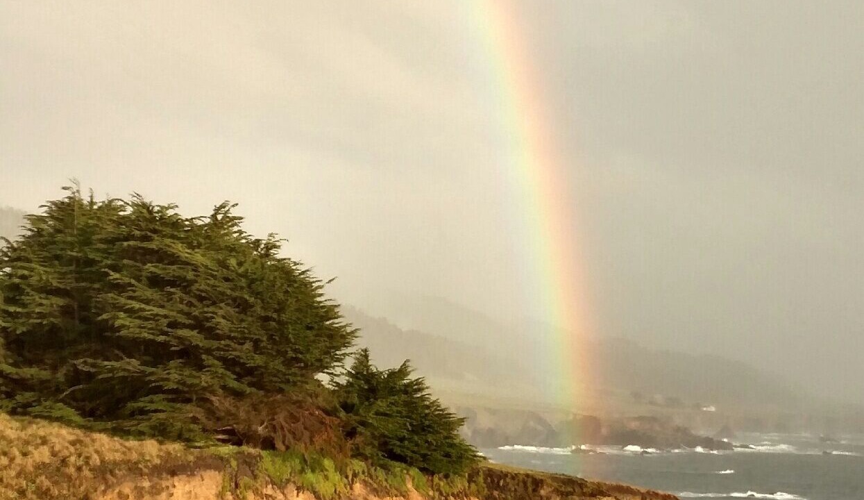 Photo of Others in Sea Ranch