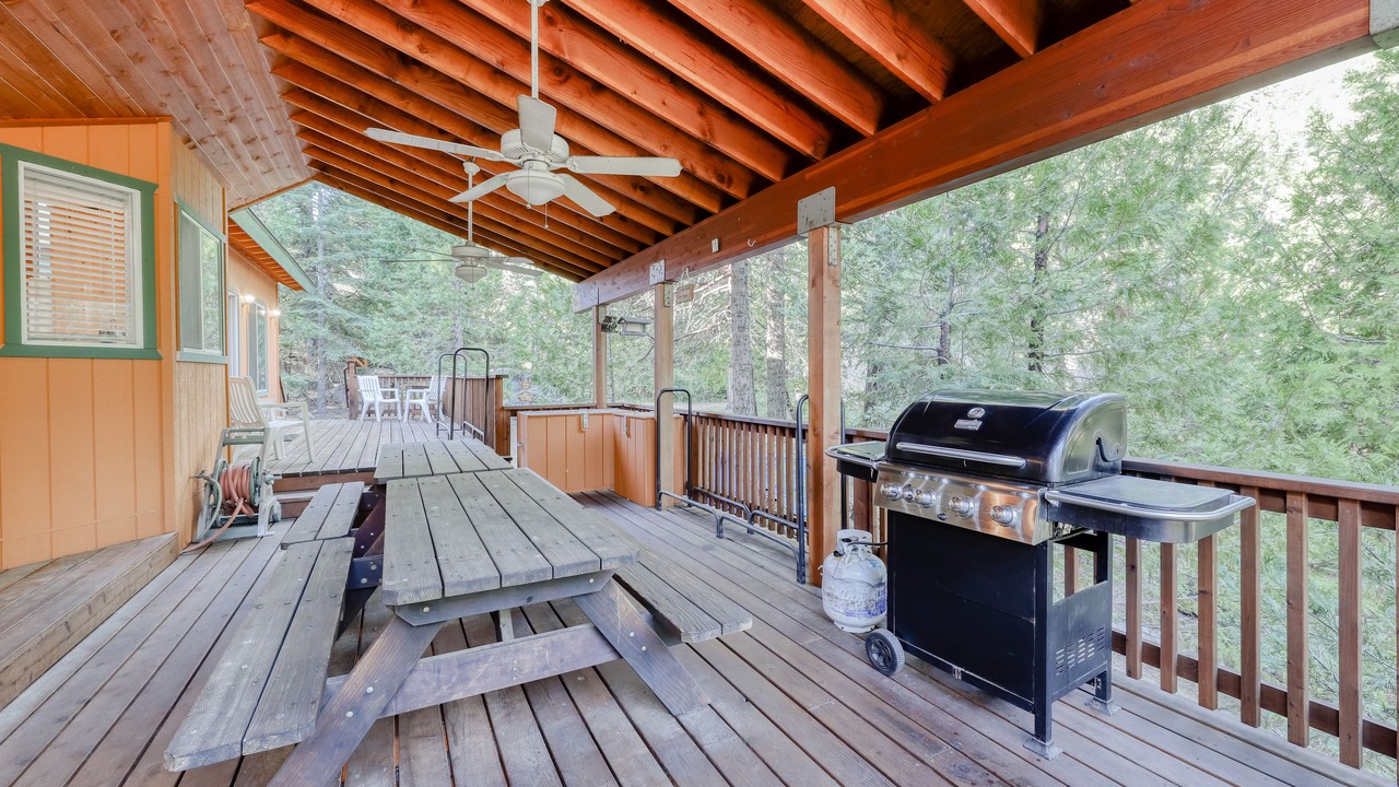 Photo of Outdoor in Shaver Lake