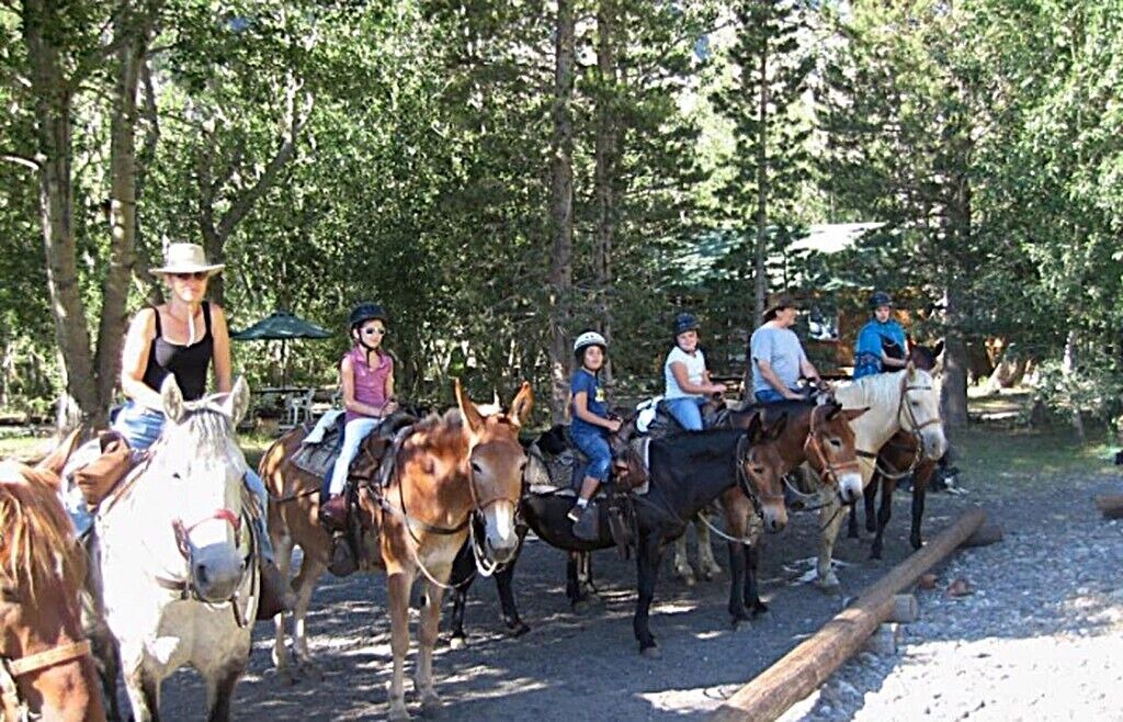 Photo of Others in Mammoth Lakes